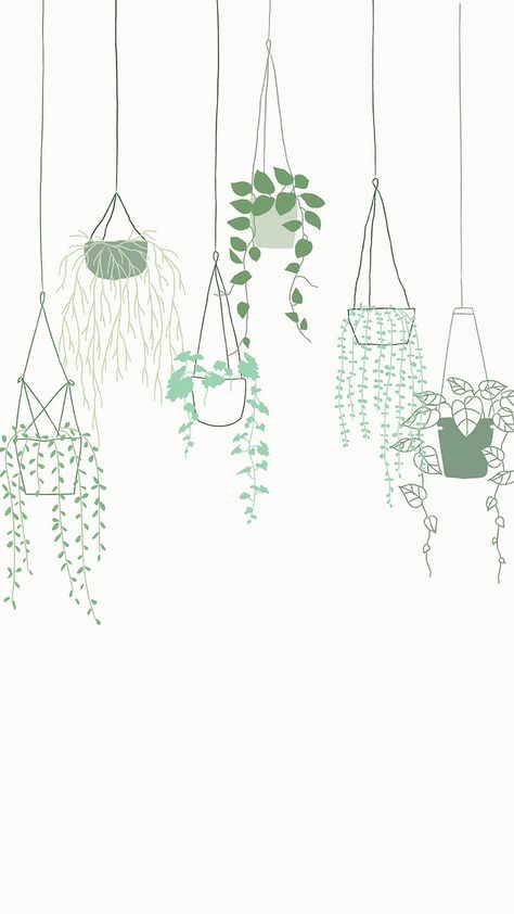 Green potted hanging plant vector background | free image by rawpixel.com / marinemynt Art, Iphone, Inspiration, Floral, Plant Background, Green Backgrounds, Flower Background Wallpaper, Iphone Wallpaper Plants, Flower Phone Wallpaper