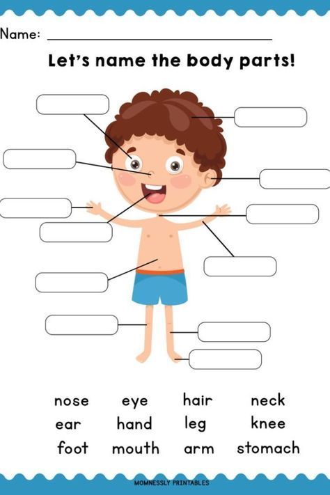 Teach your kids about their body parts with this cute and fun learning worksheets. Read on the blog to know more and get this free printables! Parts Of The Body, Test For Kids, Grammar For Kids, Body Parts Preschool Activities, Math For Kids, Math Worksheets, Science Work Sheet For Grade 1, Body Parts Preschool, Science For Kids