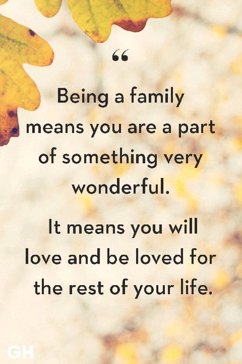 40 Family Quotes - Short Quotes About the Importance of Family Happiness, Family Quotes, Family Quotes Inspirational, Love My Family Quotes, Family Love Quotes, Best Family Quotes, Life Quotes Family, Wife Quotes, Short Family Quotes