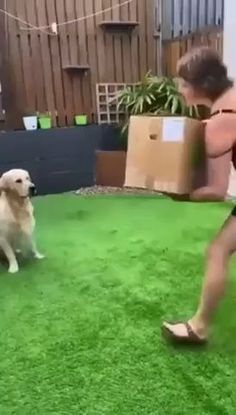 Dogs And Puppies, Funny Dogs, Puppies, Pet Dogs, Funny Animal Videos, Funny Dog Videos, Cute Funny Dogs, Cute Dogs, Cute Cats And Dogs