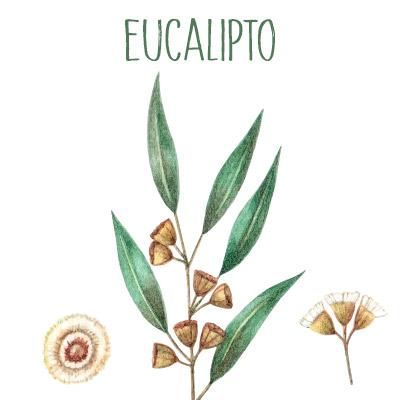 Tattoos, Fruit, Nature, Plants, Salud, Botanica, Doterra, Aromas, Flores
