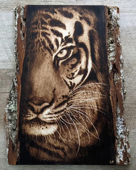 Tiger coming out of the shadows Woodburned onto a piece of basswood Wood, Art, Pyrography, Illustrators, Wood Burning Art, Wood Burning Patterns, Wood Burning, Wood Slice Art, Wood Art