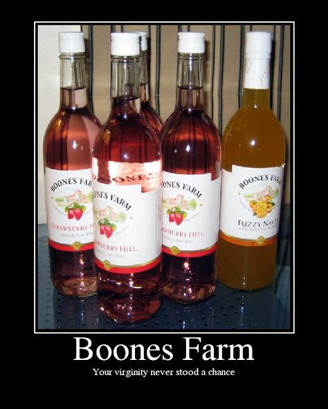 Boone's Farm Looking For Alaska, Boones Farm Wine, Strawberry Hill, Cheap Wine, Wine Bottle, The Good Old Days, Wine, Those Were The Days, Drinks