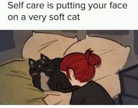Funny Memes, Crazy Cat Lady, Humour, Self Care, Cat Lovers, Funny Cute, Crazy Cats, Sadness, Silly Cats