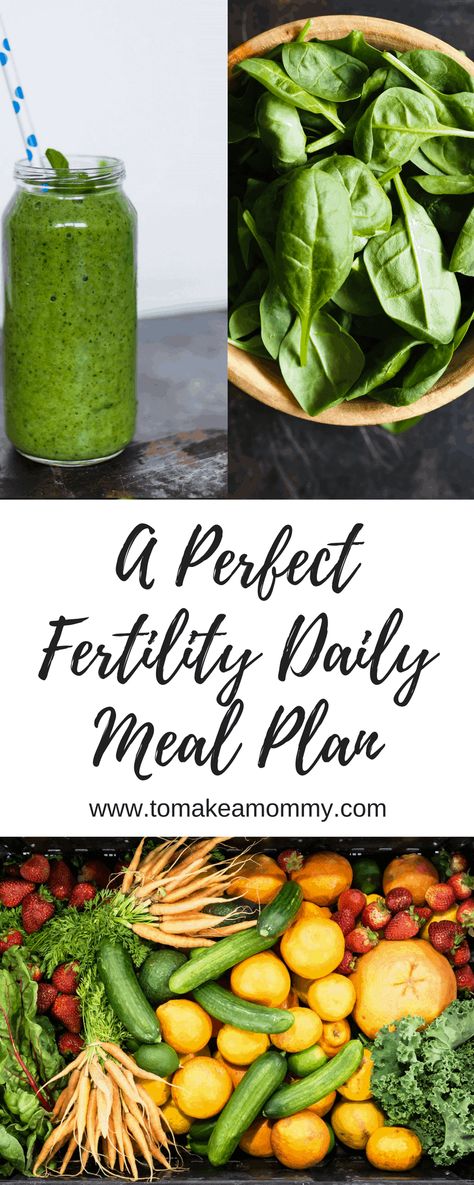 A day in the life of the Ultimate Fertility Diet - To Make a Mommy Protein, Meals, Fertility, Meal Planning, Foods, Fertility Diet, Diet, How To Plan, Food