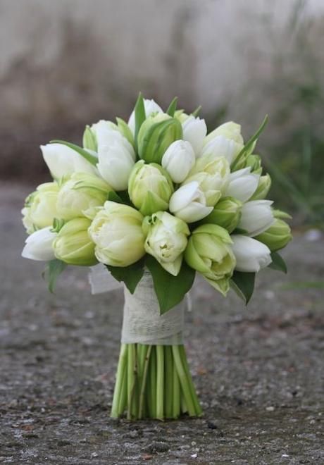 Tulip Bridal Bouquet, Tulip Bouquet Wedding, Flower Bouquet Wedding, Wedding Flowers Tulips, White Bouquet, Bridal Bouquet Flowers, Tulip Wedding, White Wedding Bouquets, Spring Wedding Bouquets