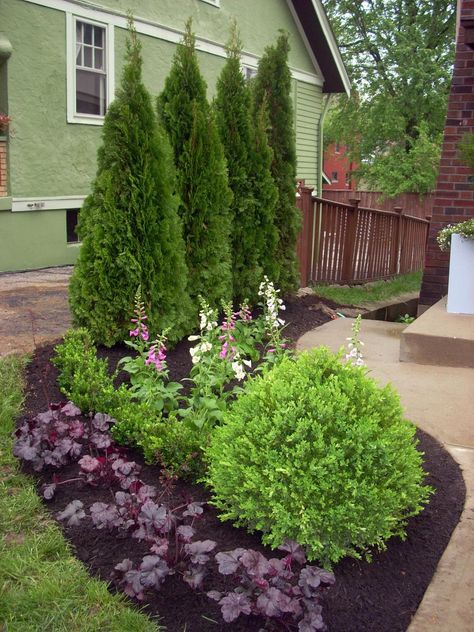 Save money and get great ideas for inexpensive landscape plants from the experts at HGTV Gardens. Back Garden Landscaping, Landscaping Ideas, Outdoor, Front Garden Landscaping, Garden Landscaping, Gardening, Backyard Landscaping, Front Yard Landscaping Design, Front Yard Landscaping