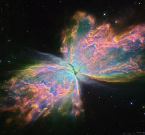 Hubble Space Telescope, Hubble Images, Telescope Pictures, Planetary Nebula, Astronomy Pictures, James Webb Space Telescope, Surreal Photos, Hubble Space, Space Pictures