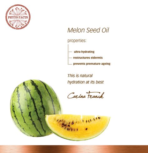 Benefits of Kalahari Melon Seed Oil Moisturiser, Healthy Skin Care, Diy, Art, Moisturizer, Natural Hydration, Seed Oil, Oil Benefits, Facial Oil