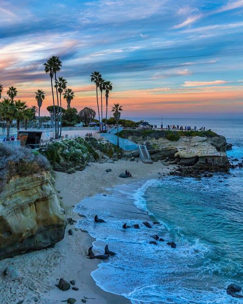 Cali, Los Angeles, San Diego, California Beach, La Jolla Beach, San Diego Beach, La Jolla California, California Dreaming, Cali Life