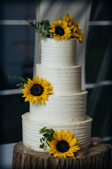 Decoration, Wedding Flowers, Wedding Cakes, Sunflower Wedding Cake, Wedding Cake Roses, Sunflower Cakes, Wedding Cake Rustic, Sunflower Wedding, Sunflower Wedding Decorations