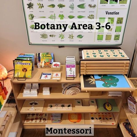 Montessori Toddler, Montessori, Early Childhood Learning, Montessori Practical Life, Busy Teacher, Preschool Curriculum, Montessori Education, Montessori Science, Montessori Materials