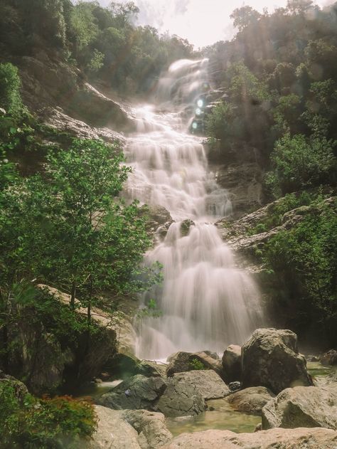 Cascade du Voile de la Mariée en Corse : une chute d'eau magnifique Inspiration, Outdoor, Corsica, Cascade, Dauphin, Corse, Jardin, Voyage, Waterfall