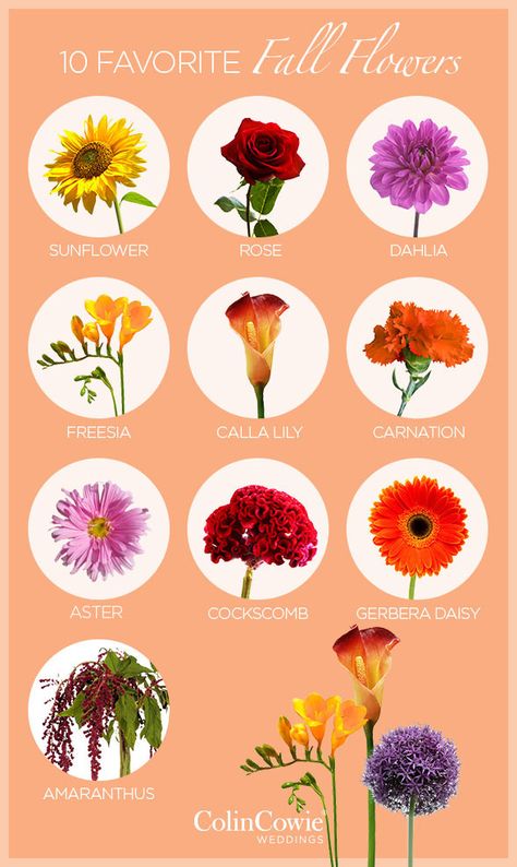 Wedding Flowers, Centerpieces, Decorations, Fall Flowers || Colin Cowie Weddings Bouquets, Wedding Bouquets, Wedding Flowers, Wedding Ideas, Wedding Decorations, Wedding Colours, Autumn Wedding, Fall Wedding Flowers, Wedding Colors