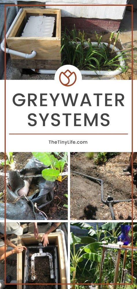 Homesteading Skills, Homesteading, Grey Water Recycling, Grey Water System Diy, Gardening Tips, Earth Homes, Water Collection System, Grey Water System, Water Purification