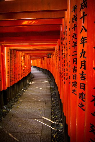 Torii gates - Fushimi Inari-taisha Shrine, Kyoto, Japan (Yokohama ---> Kobe) Kyoto, Osaka, Yokohama, Tours, Tokyo, Tokyo Japan, Fushimi Inari Taisha, Kyoto Japan, Japan Aesthetic