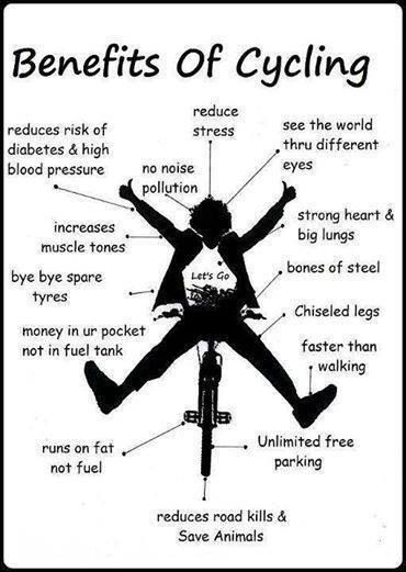 Benefits of cycling chart Fitness, Cycling, Mtb, Bike, Cyclist, Cycling Quotes, Riding, Bike Life, Cycling Bikes