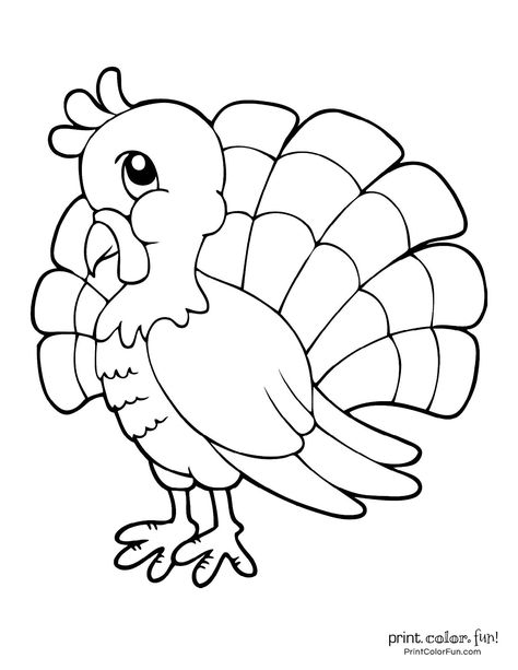 Colouring Pages, Turkey Coloring Pages, Dog Coloring Page, Bird Coloring Pages, Coloring Pages, Farm Animal Coloring Pages, Cartoon Coloring Pages, Cartoon Birds, Animal Coloring Pages