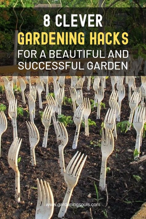 8 Clever Gardening Hacks For a Beautiful and Successful Garden Container Gardening, Gardening Hacks, Garden Hacks Diy, Easy Gardening Hacks, Gardening For Beginners, Garden Hack Ideas, Gardening Tips, Garden Diy Hacks, Garden Prepping