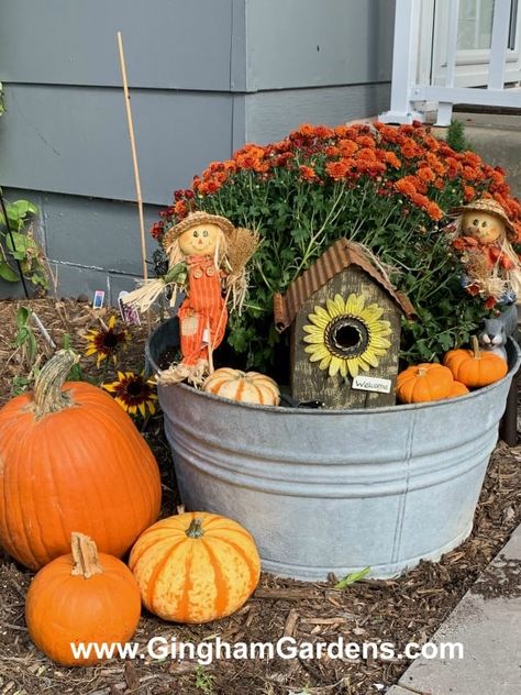 A cute, whimsical outdoor fall display in a vintage washtub. Get lots of Fall Garden Inspiration and lots of super cute Fall Outdoor Decor Ideas in a virtual fall garden tour featuring flower gardens in 3 gardening zones. #flowersthatbloominfall #fallporchdecorations Decoration, Fall Yard Decor, Fall Garden Decor, Fall Yard Displays, Fall Outdoor Decor, Outdoor Fall Decor Ideas Yard, Outside Fall Decorations Front Yards, Outside Fall Decorations, Outside Fall Decor