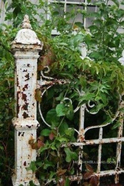 32 Charming Vintage Garden Decor Ideas You Can DIY Nature, Resim, Flores, Gard, Jardim, Garden, Garten, Flower Garden, Veranda