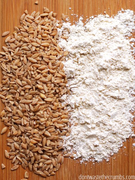 Diy, Flour Mill, Grinding Flour, How To Make Flour, Make Your Own Flour, All Purpose Flour Recipes, Purpose Flour, Baking Flour, Types Of Flour