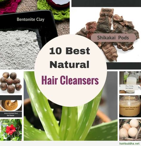 10 Best Natural Shampoos: For Strong, Healthy & Shiny Hair - hair buddha Pop, Natural Cleaning Products, Natural Cleanser, Shampoo For Curly Hair, Natural Shampoo, Homemade Shampoo, Hair Cleanser, Healthy Shampoo, Homemade Hair Products