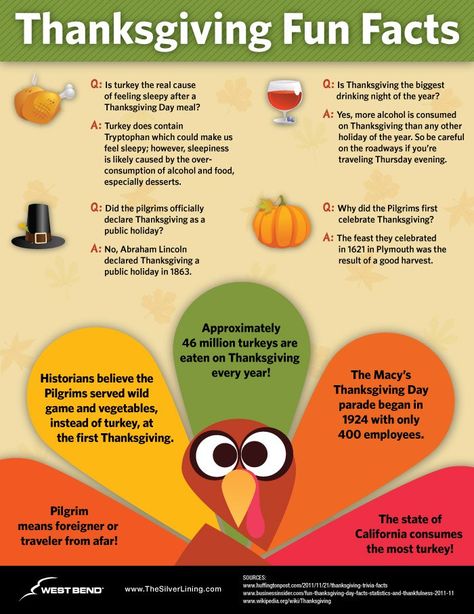 Thanksgiving Trivia and Facts - fun for all for the Thanksgiving table :) Thanksgiving Recipes, Thanksgiving, Halloween, Thanksgiving Crafts, Pre K, Thanksgiving Trivia Questions, Thanksgiving Fun Facts, Thanksgiving Trivia, Thanksgiving Facts