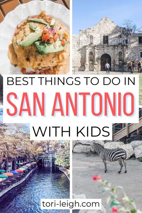 Wanderlust, Texas, Ideas, Family Vacations In Texas, Texas Family Vacations, Texas Vacations, San Antonio Vacation, San Antonio Things To Do, San Antonio Zoo