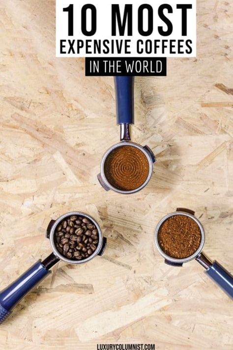 10 Most Expensive Coffees in the World | Kona Coffee | Elephant Dung Coffee | Kopi Lupak Restaurants, Expensive Coffee, Coffee Tasting, Buy Coffee, Gourmet Coffee, Coffee Roasting, Single Origin Coffee, Kona Coffee, Civet Coffee