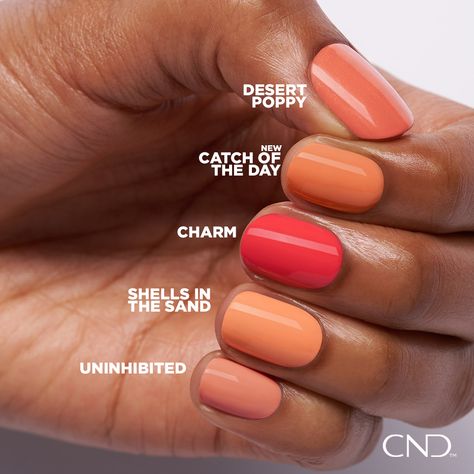 #SwatchandSee our new shade: Catch of the Day, a bright peach! Available in CND Shellac and CND Vinylux. #CNDNautiNautical Shellac, Coral, Shellac Colors, Cnd Shellac Colors, Cnd Shellac, Cnd Colours, Cnd Shellac Nails, Cnd Shellac Nails Summer, Cnd Vinylux