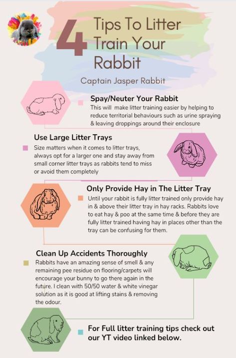 Don't forget to check out our YT video linked below for a more in depth guide of how to litter train your bunny. Ideas, Litter Box Training Rabbits, Litter Training Rabbits, Rabbit Litter Box, Bunny Care Tips, Pet Rabbit Care, Bunny Litter Box, Rabbit Litter, Caring For Rabbits