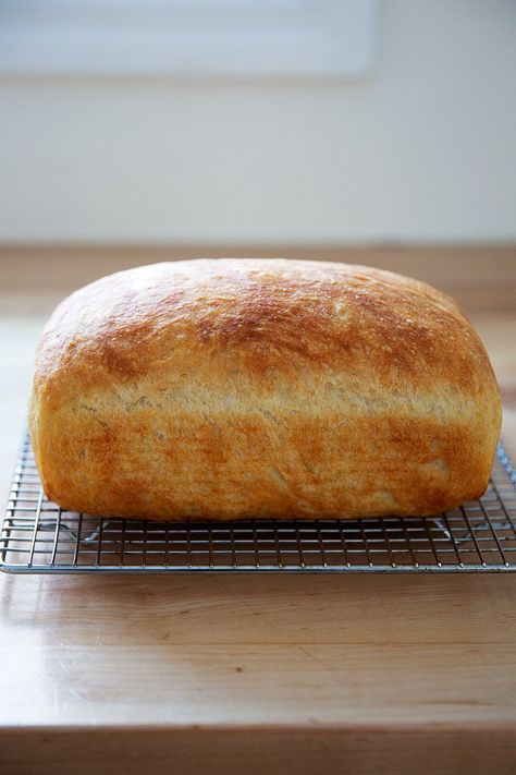 Found! Easy Same-Day Peasant Bread Recipe | Cup of Jo Bread Recipes, Biscuits, Peasant Bread, Loaf Bread, Loaf Bread Recipe, Easy Bread, Bread Dough, Bread Recipes Homemade, Easy Bread Recipes