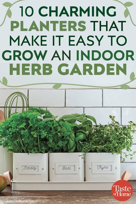 Fresco, Gardening, Herb Garden, Shaded Garden, Herb Garden Planter, Herb Garden In Kitchen, Planting Herbs, Herb Planters, Outdoor Herb Garden