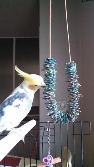 Easy Parrot's Toy From Recycled Puzzle Pieces                                                                                                                                                                                 More Diy, Toys, Homemade Bird Toys, Diy Parrot Toys, Diy Bird Toys, Bird Toys, Diy Birds, Parrot Toys, Parakeet Toys