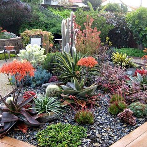 Planters, Garden Design, Pergola, Succulent Garden Design, Succulent Garden Outdoor, Garden Landscaping, Front Yard Garden, Outdoor Landscaping, Garden Yard Ideas
