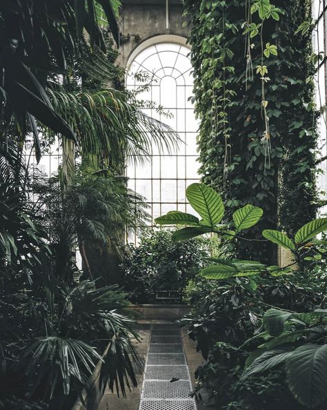 royal botanic garden edinburgh Design, Inspiration, Beautiful, Haus, Flores, Fotos, Jardim, Fotografia, Bodas