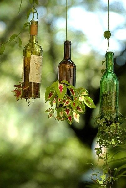 Diy, Design, Diy Garden, Dekoration, Diy Glass, Diy Decor, Bottle Garden, Plants In Bottles, Wine Bottle Outdoor