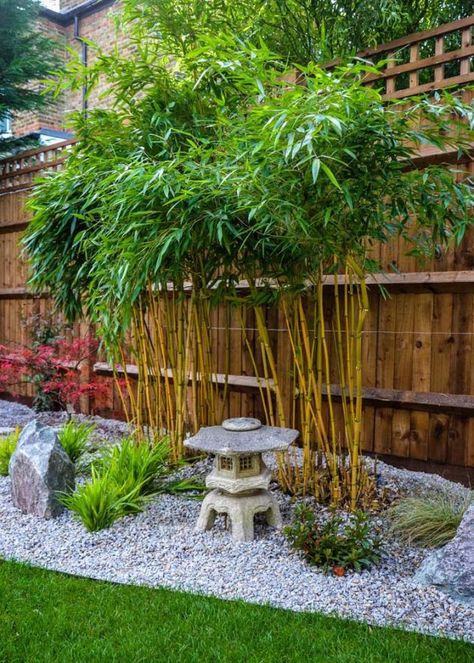 10 Creative and Calm Zen Gardens for Your Backyard Garden Design, Shaded Garden, Back Garden Landscaping, Patio Garden, Outdoor Gardens, Garden Landscaping, Zen Garden Design, Backyard Garden, Small Garden Design