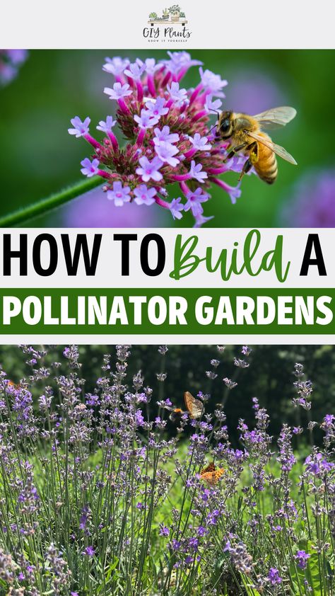 How to Build a Pollinator Garden Plants, Outdoors, Outdoor, Eye, Jardin, Cool Plants, Homemade, Butterfly Garden, Flower Garden