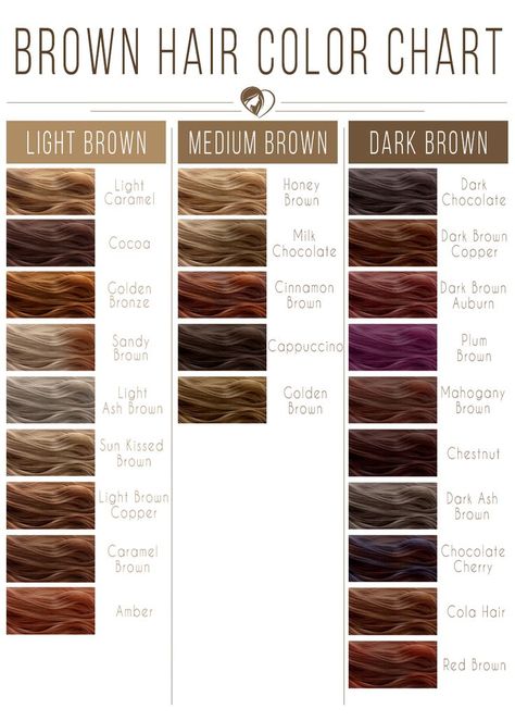 Light Brown Hair Color Chart #brownhair #brunette ❤️ Brown hair color chart is your guide to find the perfect brunette shade! Light, medium, and dark ideas for brunettes are here: from natural warm shades to pastel ash and cool chocolate tones. ❤️ See more: https://lovehairstyles.com/brown-hair-color-chart/ #lovehairstyles #hair #hairstyles #haircuts Balayage, Shades Of Brown Hair, Light Golden Brown Hair Color, Golden Brown Hair, Different Brown Hair Colors, Brown Hair Shades, Light Brown Hair With Red Undertones, Brown To Blonde, Brown Hair Colors