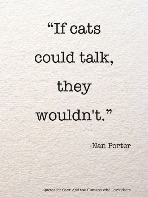 pet quotes - Google Search Funny Quotes, Sayings, Humour, Crazy Cat Lady, Cat Quotes, Animal Quotes, Cat Love, All About Cats, Cats And Kittens