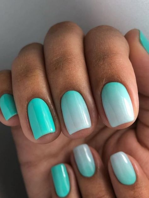 white and green ombre nails Ombre, Teal Nails, Turquoise Nail Designs, Teal Nail Designs, Summer Gel Nails, Turquoise Nails, Turquoise Toe Nails, Aqua Nails, Blue Ombre Nails