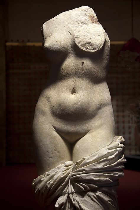 Aphrodite - Paestum Archaeological Museum, Campania, Cilento NP, Italy - Dirk Huijssoon photography / 2013 - https://www.flickr.com/photos/dicknella/8624224834/ Croquis, Sculptures, Statue, Paestum, Venus, Statues, Sanat, Greek Statues, Greek Art