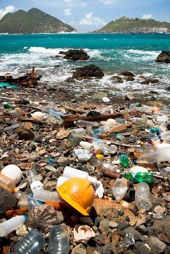 Woes of Plastic – ziveli Nature, World, Water, Dieren, Fotografie, Nap, Dao, Live, Poster