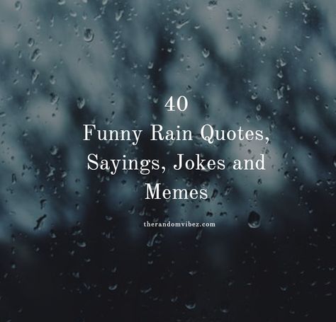 Looking for some cute and funny rainy day quotes for the monsoons? We’ve rounded up 40 best rain quotes, sayings, (with images, pictures and memes) for you to share with friends and family.   #funnyrainquotes funnyrainydayquotes funnyrainqsayings #funnyquotesaboutrain #funnycaptionsforrain #funnyrain #cuterainquotes #cuterainimages #funnyrainpictures Funny Quotes, Funny Rain Quotes, Funny Weather Quotes, Witty Quotes, Rain Sayings, Witty Quotes Humor, Quotes About Rain, Bad Weather Quotes, Good Sayings