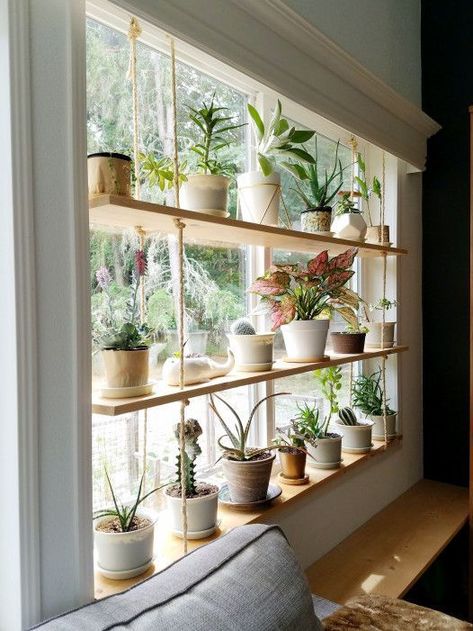 If you're looking for plant room ideas to liven up your living space, look no further - you've come to the right place. Diy Home Décor, Home Décor, Hanging Shelves, Hanging Plants Indoor, Hanging Plant, Home Decor, Plant Shelves, Window Plants, Hanging Plants