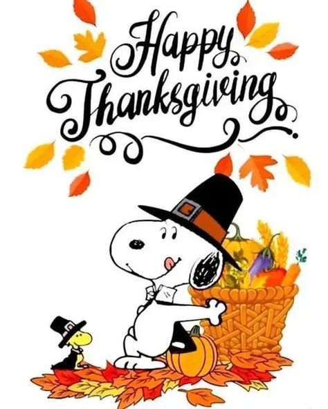 Send celebration greetings with happy thanksgiving wallpaper, thanksgiving wallpaper backgrounds or thanksgiving wallpaper iphone. Find other thanksgiving wallpapers aesthetic and happy thanksgiving wallpaper iphone on the blog to share. Snoopy, Art, Fictional Characters, Character