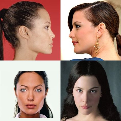 The face when viewed in profile is neither convex (curving outward) nor concave (curving inward); although even a straight profile has a very slight curvature. Hair Styles, Hairstyle, Face Profile, Face, Face Reveal, Hair Pictures, Face Shapes, Elegant Hairstyles, Hair Png