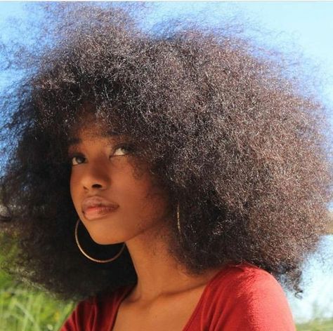 Pinterest: @jalapeño Big Hair, Girl Hairstyles, Haar, Afro, Cool Hairstyles, Hair Inspiration, Afro Hairstyles, Pretty Hairstyles